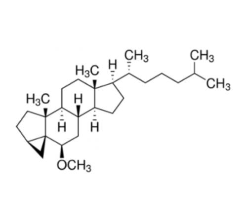 изо-холестерилметиловый эфир ~ 95% Sigma C0879 изо-холестерилметиловый эфир ~ 95% Sigma C0879