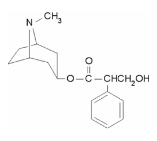 L-Гиосциамин 98% (ТСХ), порошок Sigma H9002